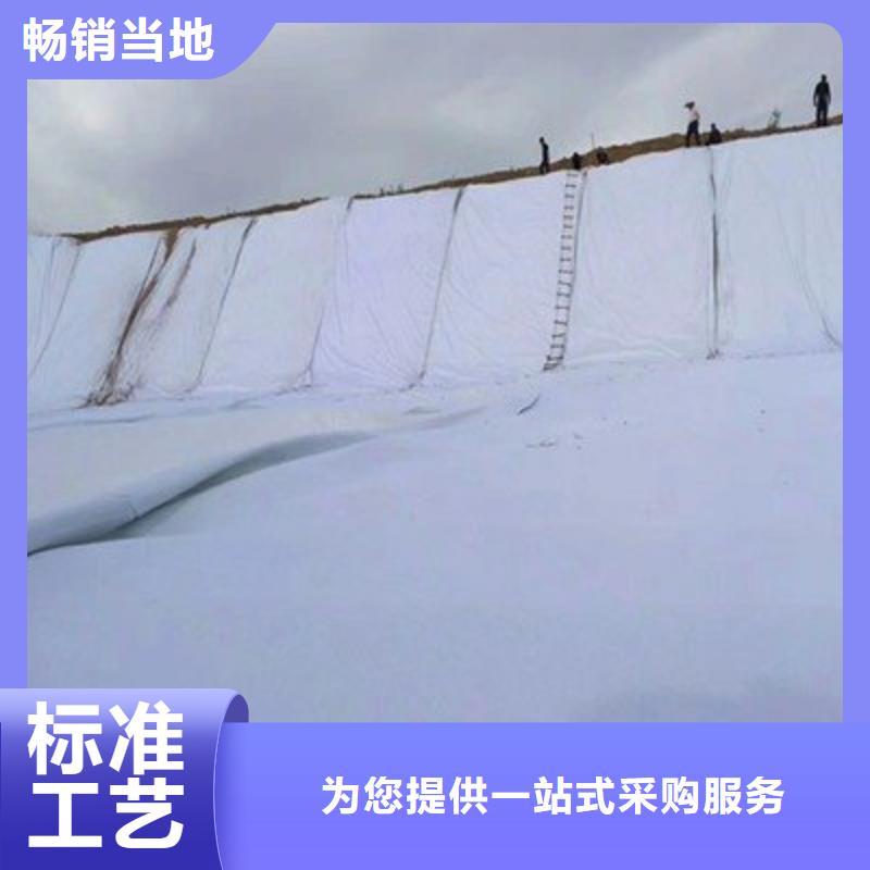 土工布雙向塑料土工格柵訂購