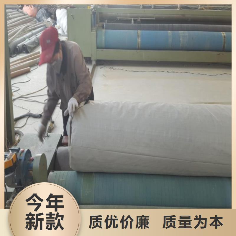 土工布凸結點鋼塑土工格柵全新升級品質保障