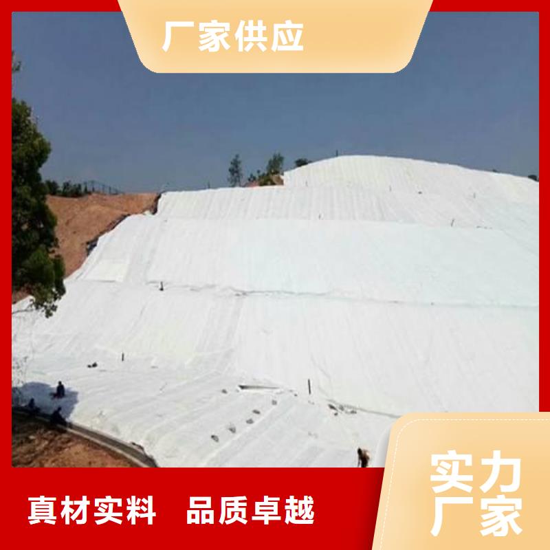 建筑用土工布_價格合理_質量可靠