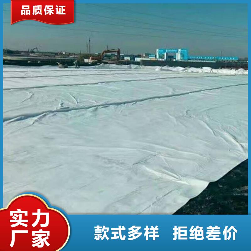 土工布雙向塑料土工格柵訂購