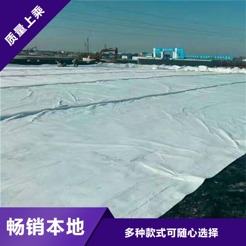 土工布单向塑料土工格栅厂家直销大量现货