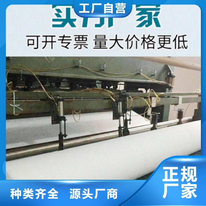 土工布凸結點鋼塑土工格柵全新升級品質保障