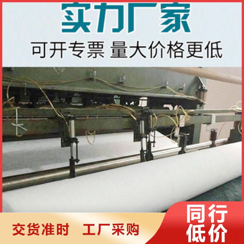 土工布單向塑料土工格柵廠家直銷大量現貨