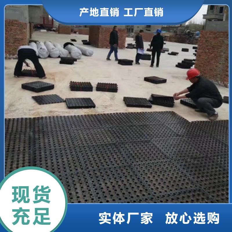 塑料排水板鋼塑土工格柵廠家專業(yè)的生產(chǎn)廠家