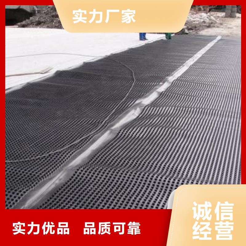 塑料排水板_三維植被網(wǎng)廠家生產(chǎn)廠家