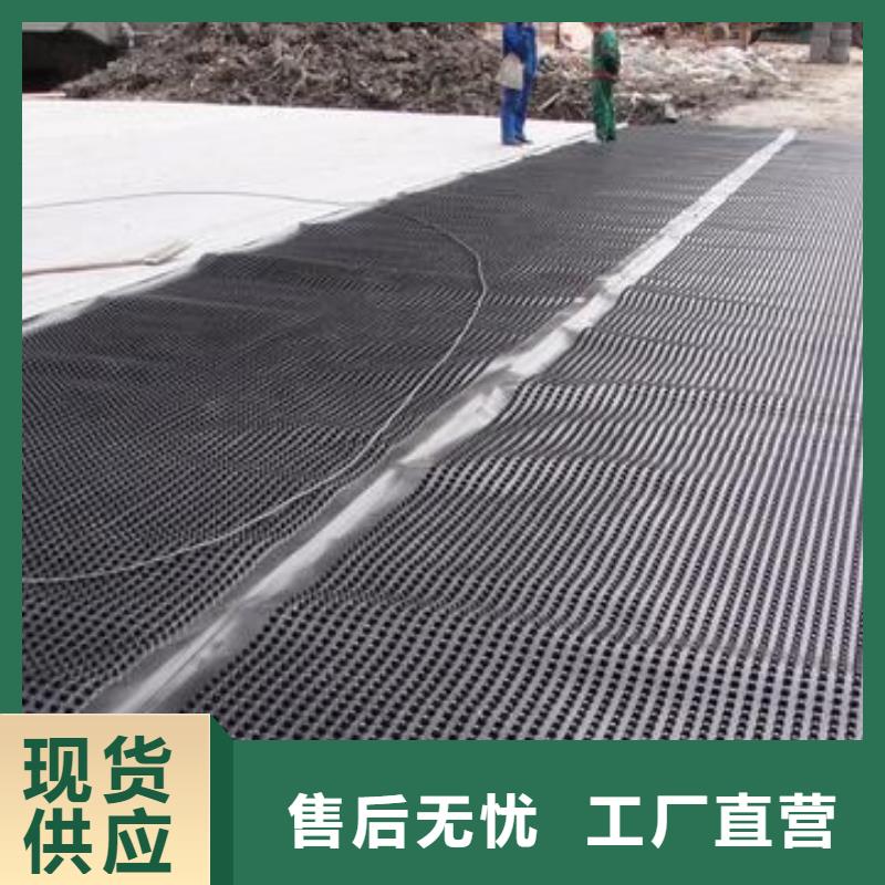 塑料排水板源頭采購
