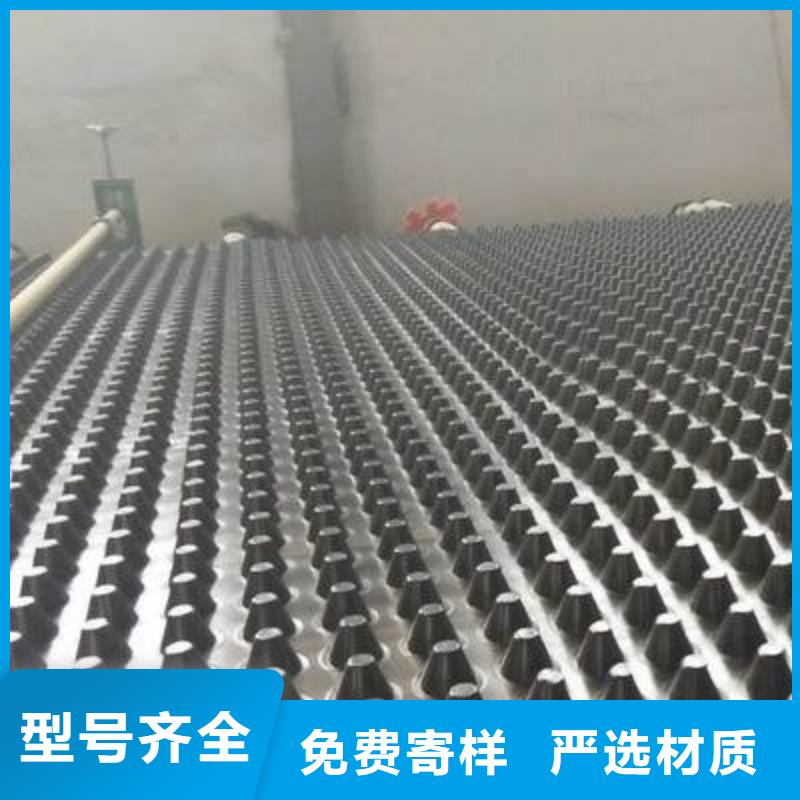 塑料排水板,膨润土防水毯颜色尺寸款式定制