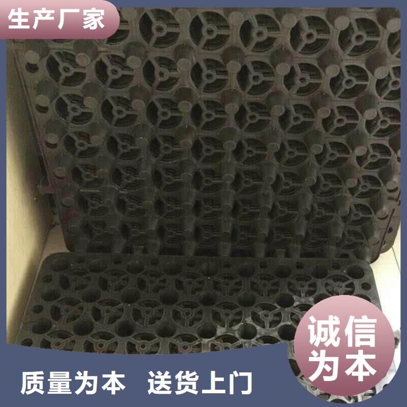 塑料排水板干什么的