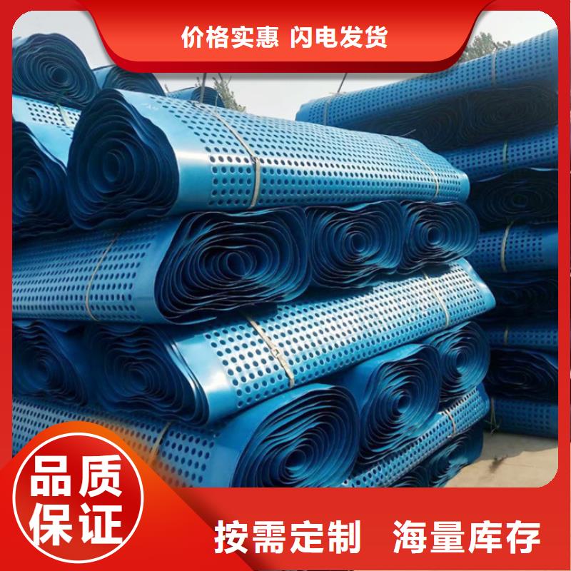塑料排水板-复合土工膜专业的生产厂家
