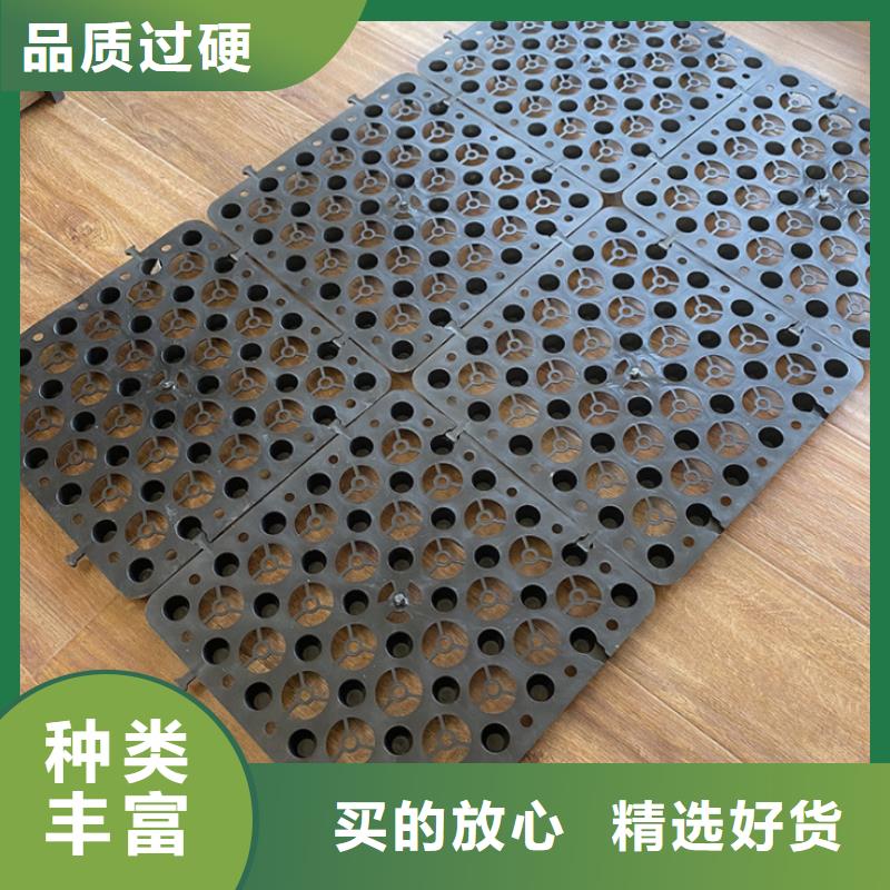 塑料排水板廠家