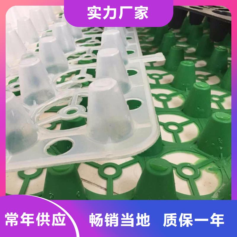 塑料排水板源頭采購