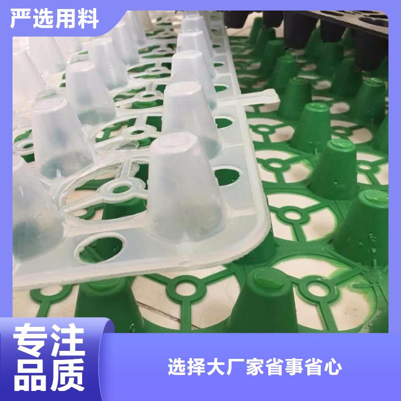 塑料排水板-硬式透水管产品细节