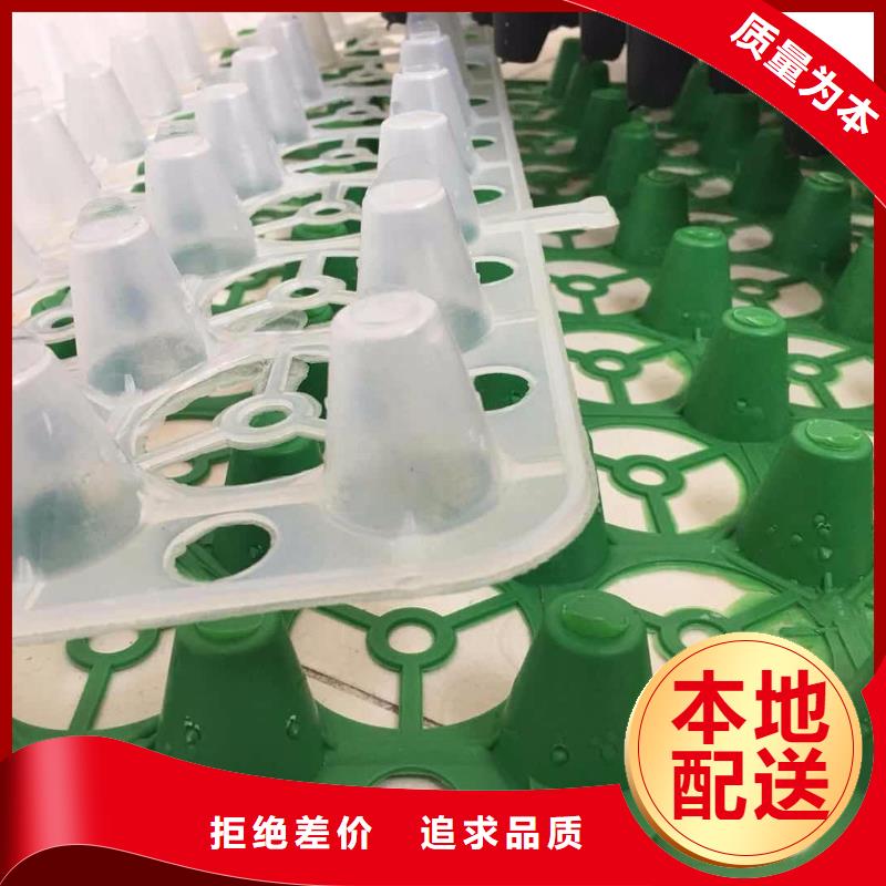 长丝无纺土工布视频-长丝无纺土工布_内蒙古兴安市市场覆盖乌兰察布|赤峰|呼伦贝尔|鄂尔多斯|阿拉善等