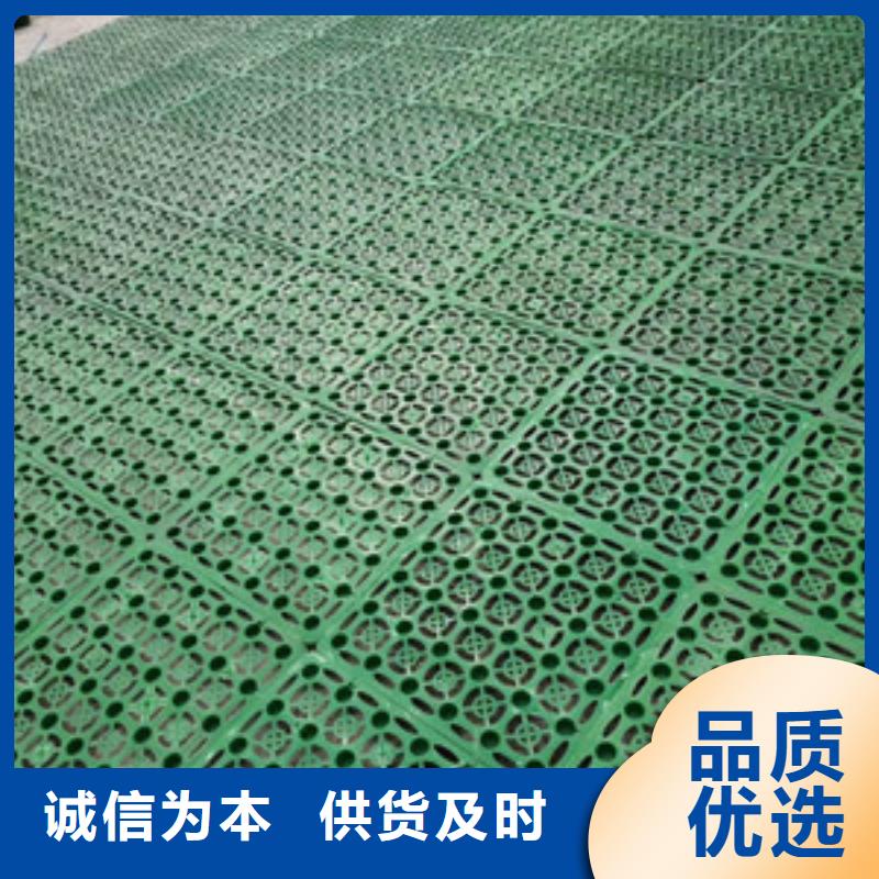 【塑料排水板_復(fù)合土工膜質(zhì)量牢靠】
