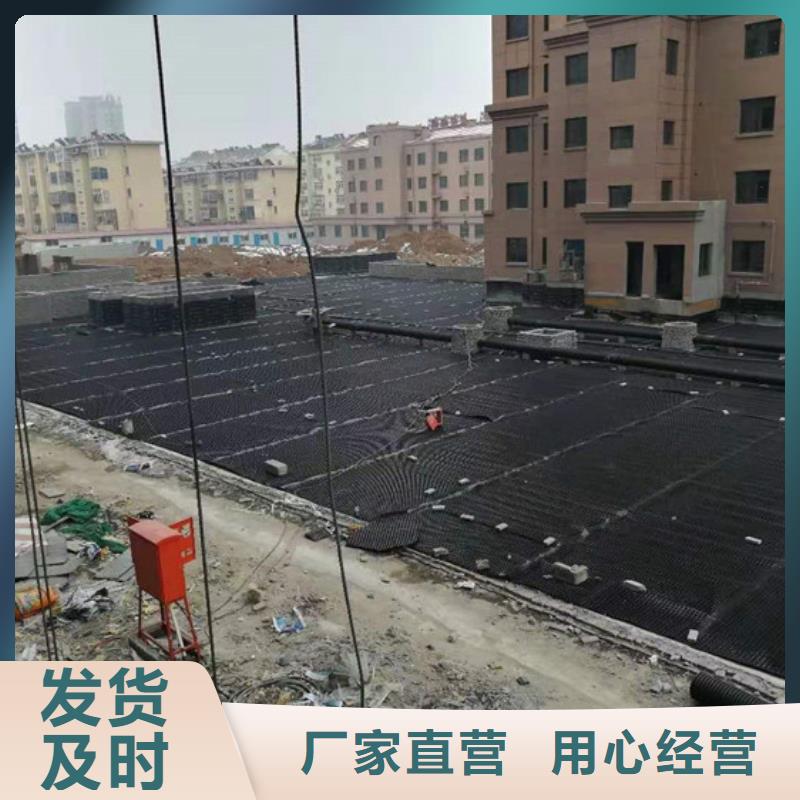 塑料排水板-复合土工膜专业的生产厂家
