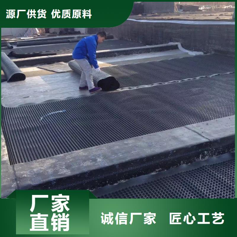 塑料排水板玻璃纖維土工格柵來圖來樣定制