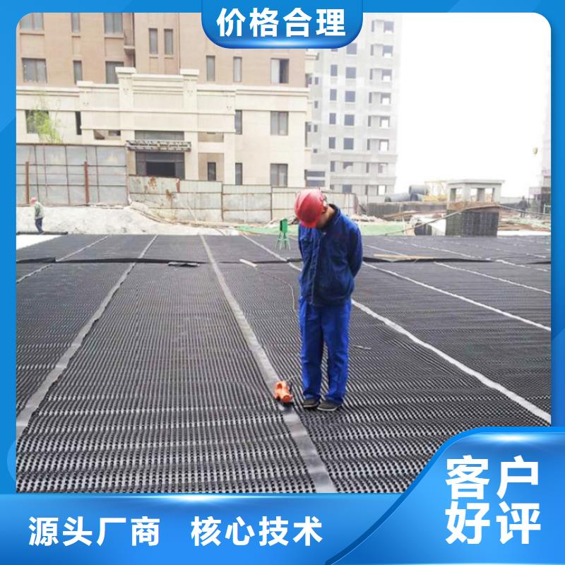 塑料排水板護坡土工網技術先進