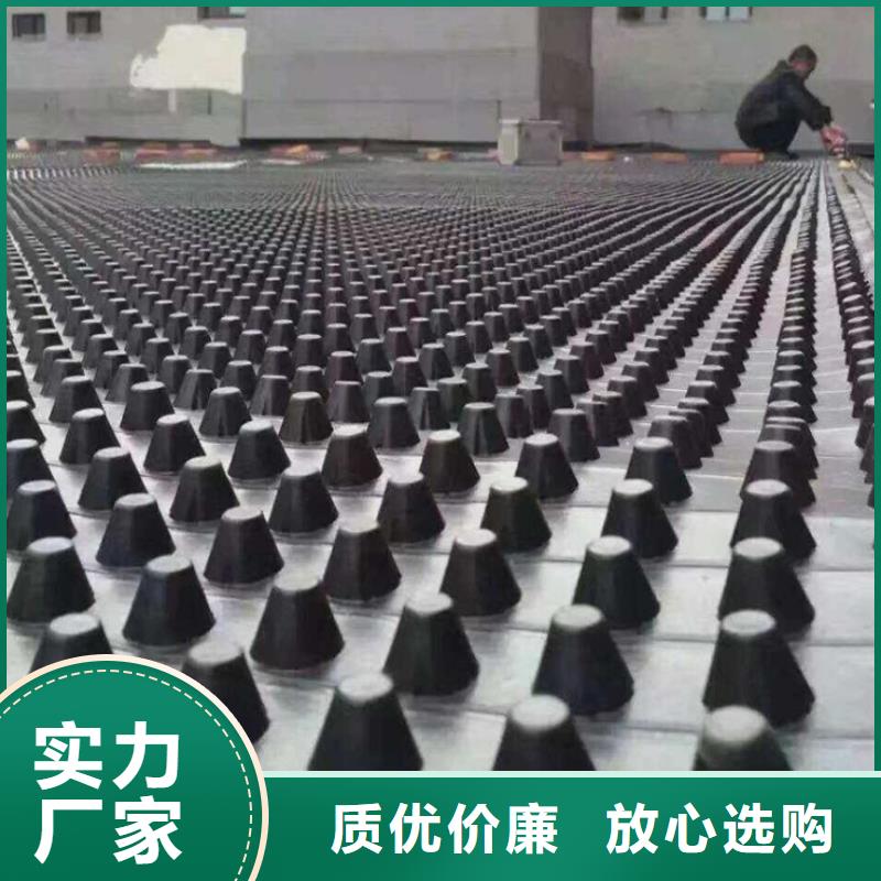 塑料排水板-三維土工網墊實力廠家直銷