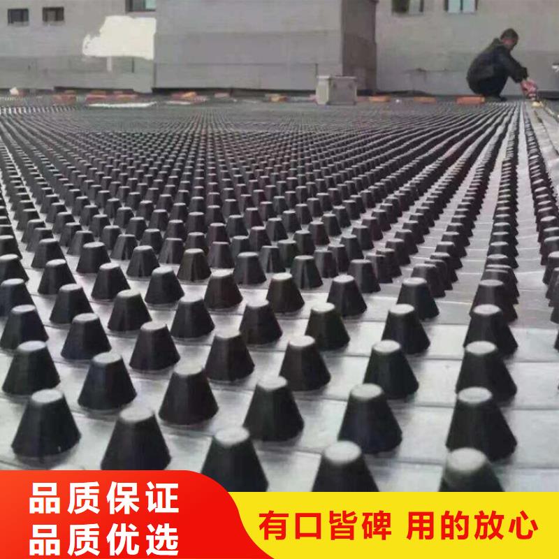 塑料排水板【鋼塑土工格柵廠家】價格實在