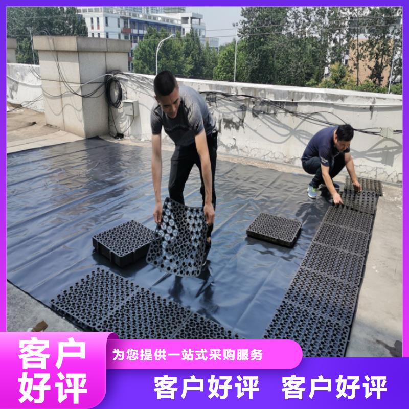 塑料排水板玻璃纖維土工格柵來圖來樣定制