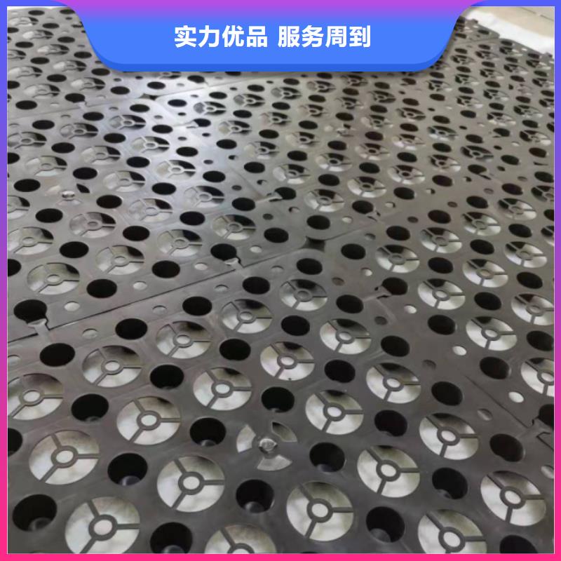 塑料排水板土工布價格現(xiàn)貨充裕