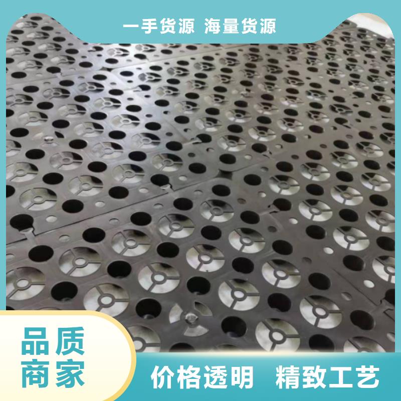 【塑料排水板玻纖土工格柵廠家直發】