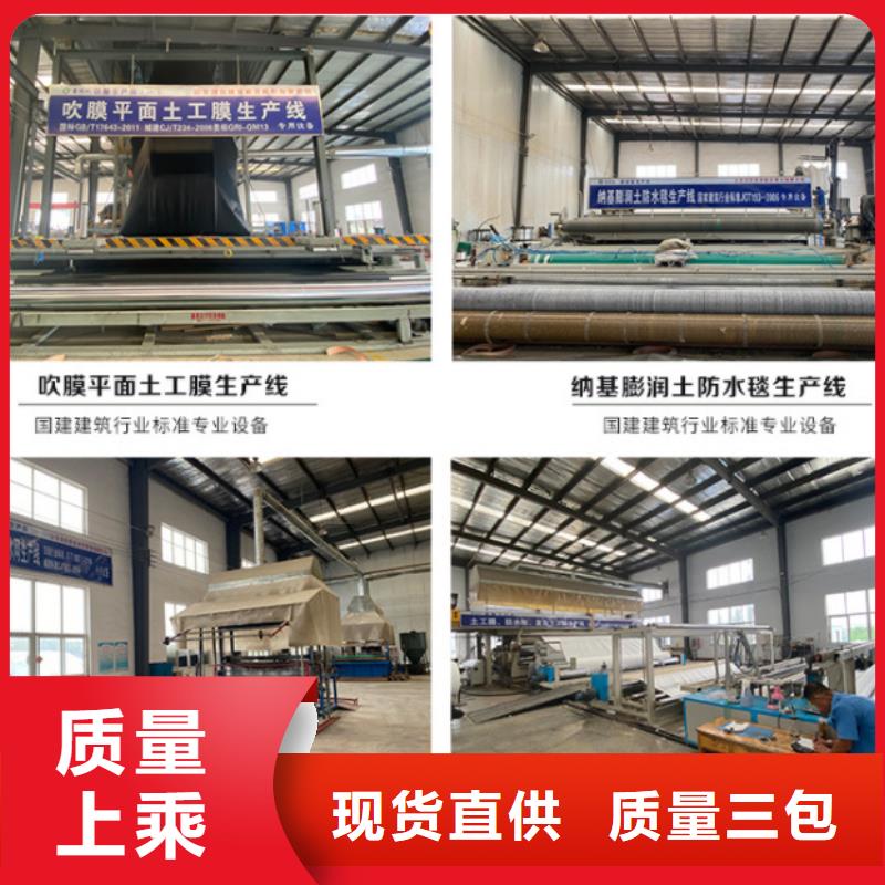【防水毯鋼塑土工格柵廠家貨源直供】