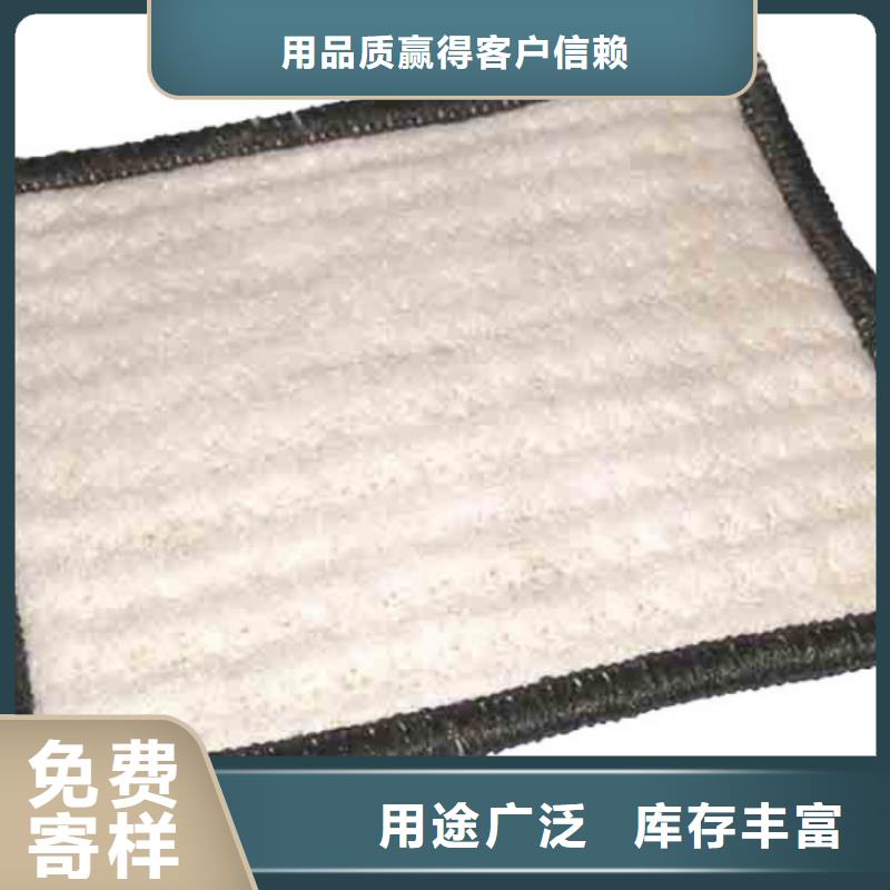防水毯鋼塑土工格柵豐富的行業經驗