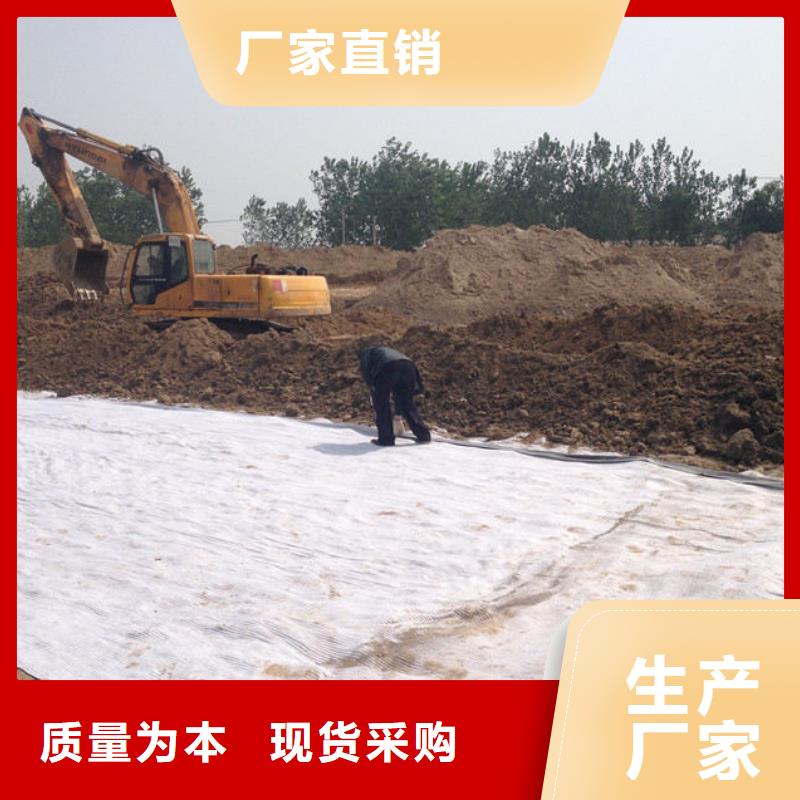 防水毯鋼塑土工格柵豐富的行業經驗