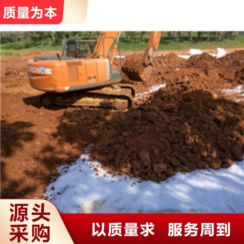 【防水毯鋼塑土工格柵廠家貨源直供】