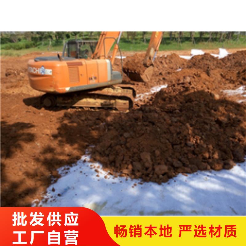 防水毯聚丙烯雙拉土工格柵高標(biāo)準(zhǔn)高品質(zhì)