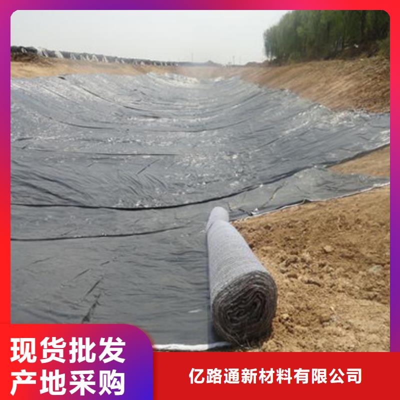 防水毯聚丙烯雙拉土工格柵本地配送