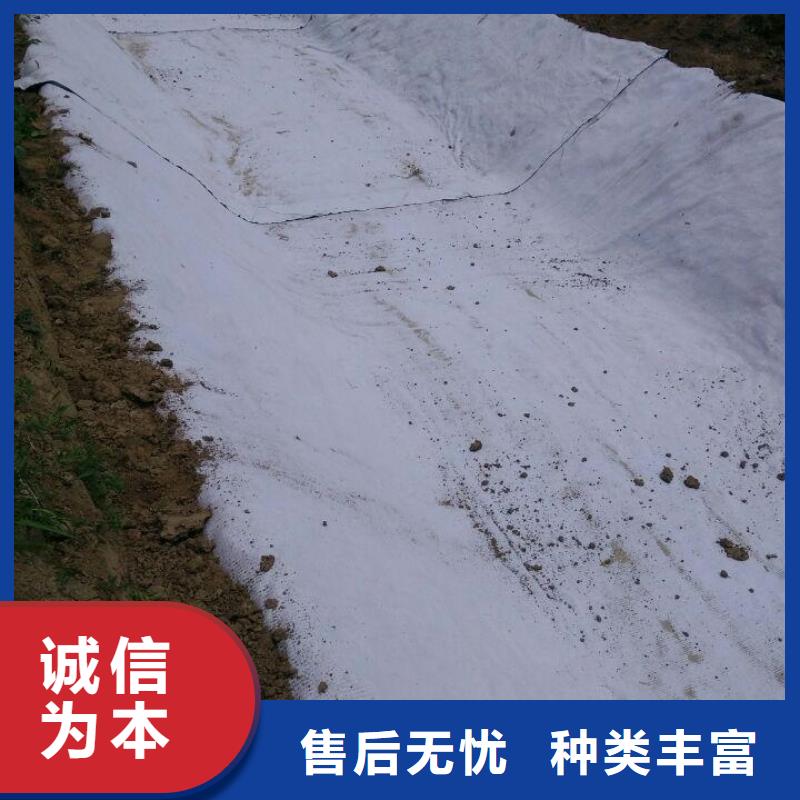 防水毯【HDPE土工膜】款式多樣