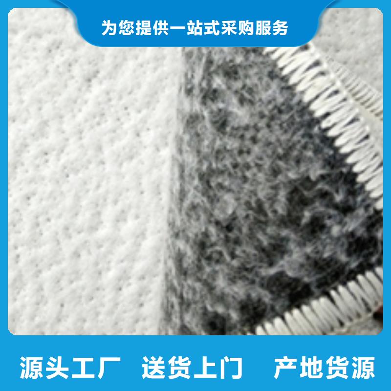 防水毯_钢塑土工格栅厂家懂您所需