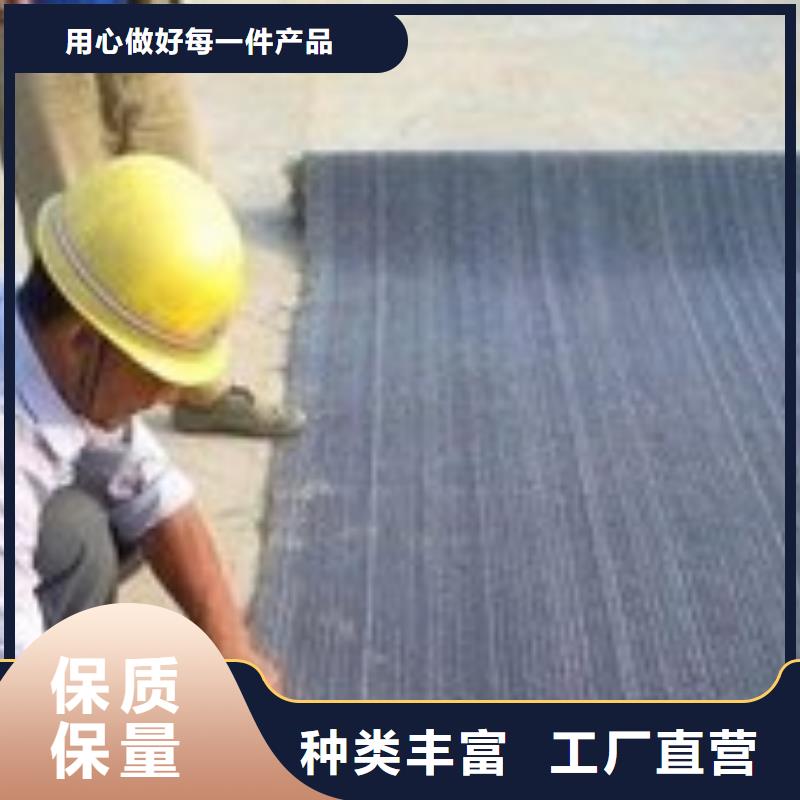 防水毯聚丙烯雙拉土工格柵高標(biāo)準(zhǔn)高品質(zhì)