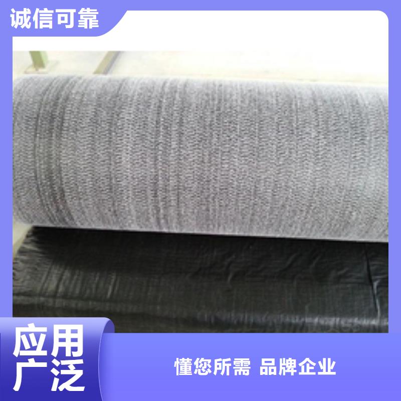 【防水毯】三維土工網墊好貨直供