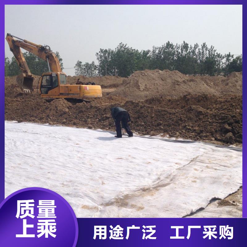 【防水毯鋼塑土工格柵廠家貨源直供】