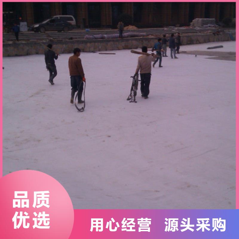 【防水毯鋼塑土工格柵工廠自營】
