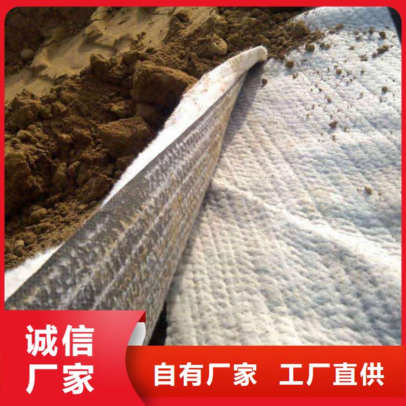 防水毯土工膜交貨準時