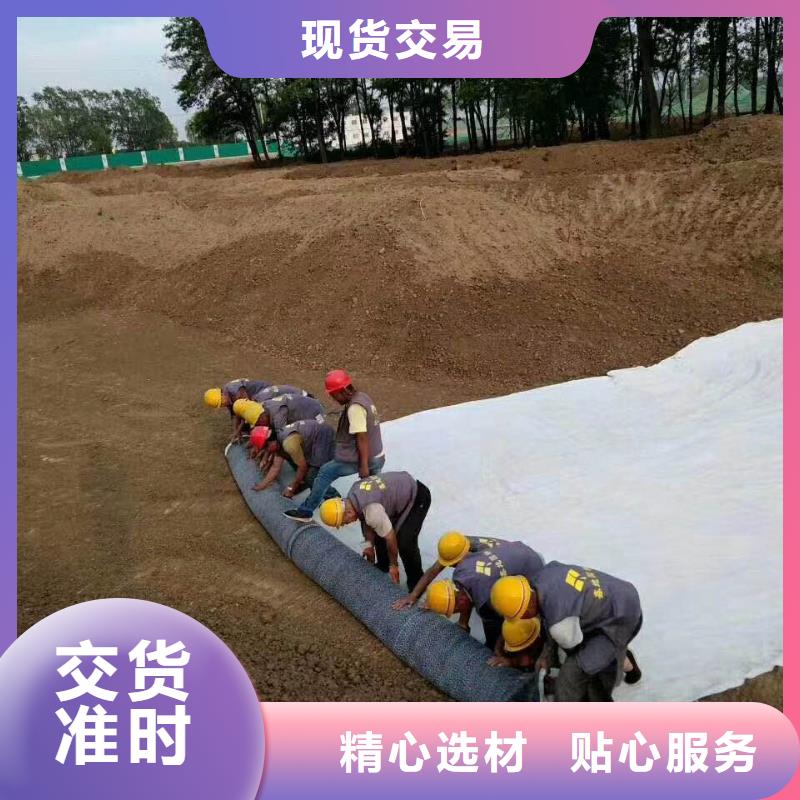 长丝无纺土工布视频-长丝无纺土工布|陕西省延安市|志丹|黄陵|咸阳|安康|汉中|西安|榆林|铜川|宝鸡