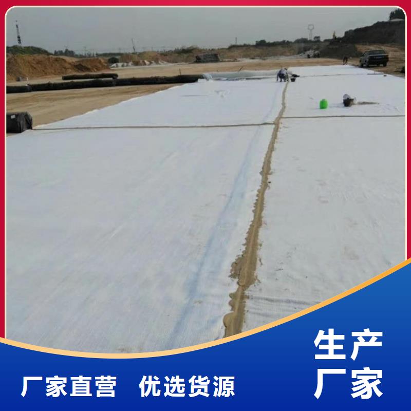 防水毯_三維水土保護毯源頭直供