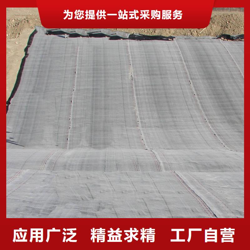 防水毯玻璃纖維土工格柵滿足客戶所需