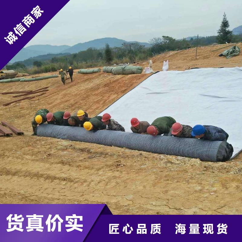 防水毯【HDPE土工膜】款式多樣