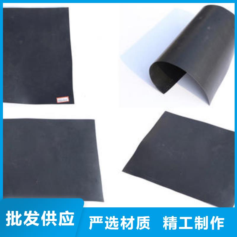 土工膜,涤纶土工格栅海量现货直销