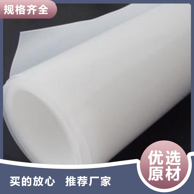 土工膜土工席墊發(fā)貨及時(shí)