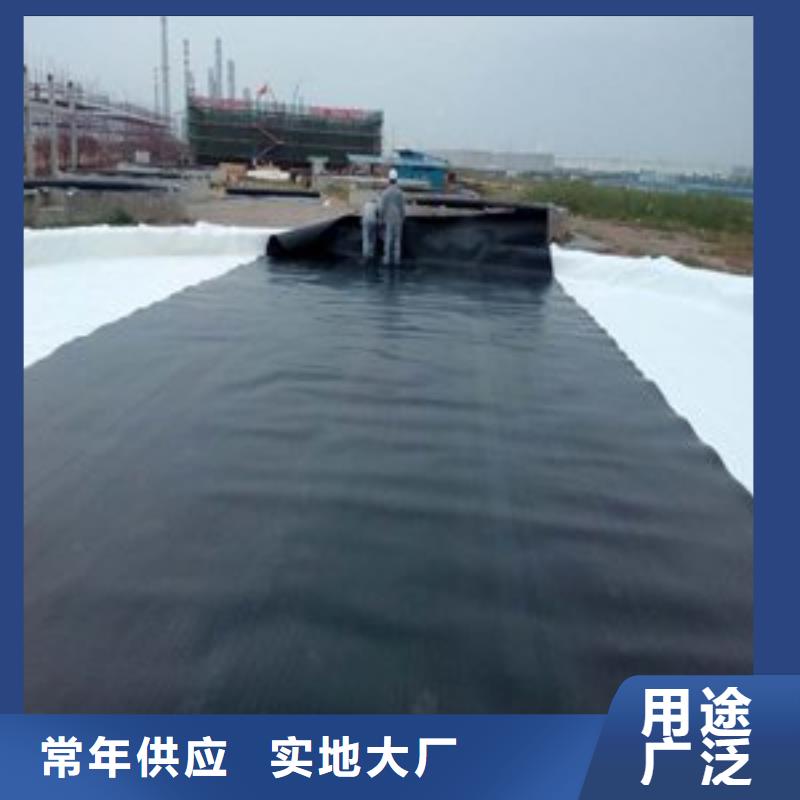 【土工膜】滌綸土工格柵工廠價格