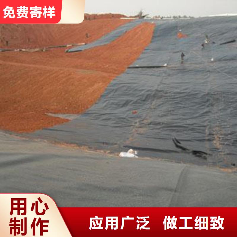 土工膜三維水土保護毯廠家技術完善