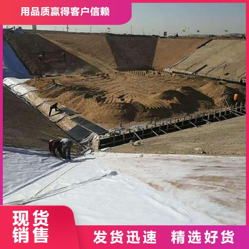 HDPE土工膜有廠家嗎&價格可以商量