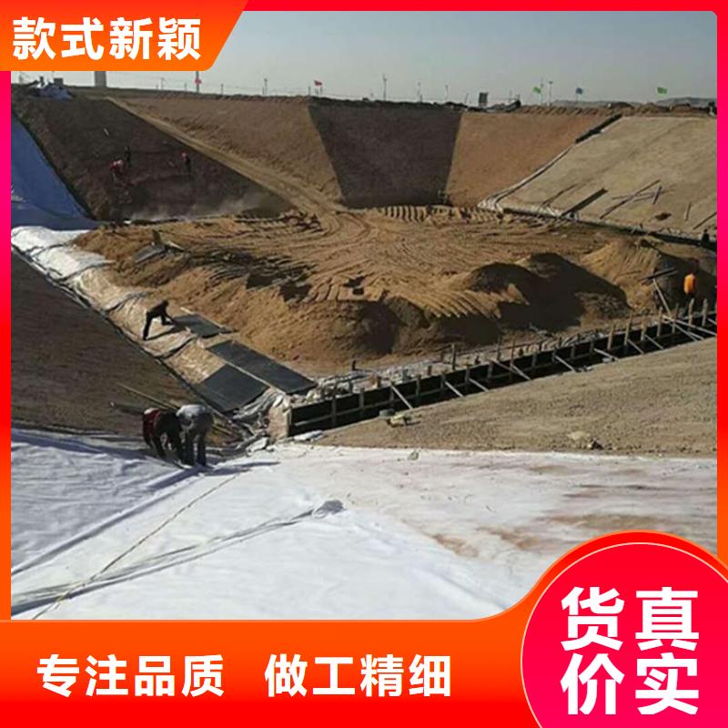 土工膜,钢塑土工格栅厂家直接面向客户