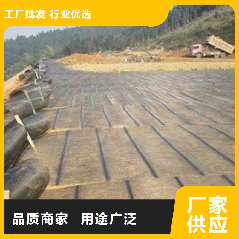 土工格柵-塑料土工格柵-玻纖格柵生產廠家